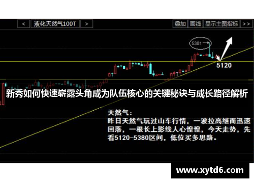 新秀如何快速崭露头角成为队伍核心的关键秘诀与成长路径解析